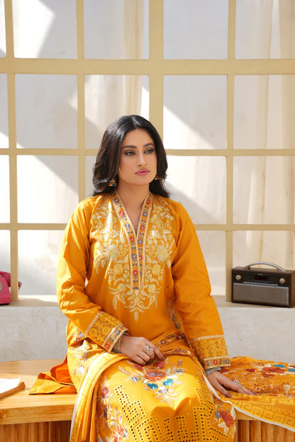 Rang-e-Shehnai 03-PC