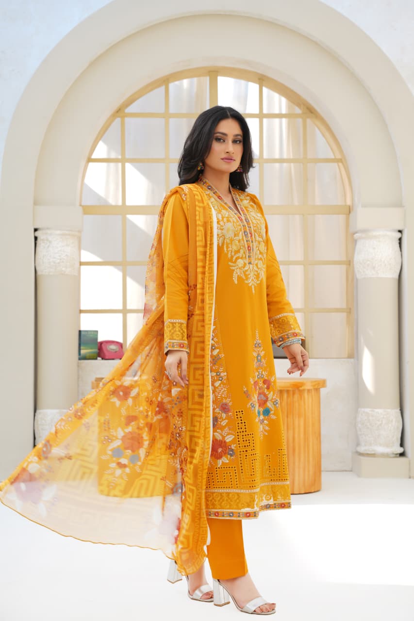 Rang-e-Shehnai 03-PC